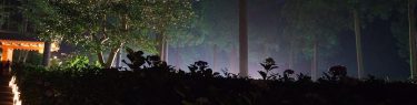 after #rain it looks #foggy #lantern #mimurotoji #uji is not #kyoto ;) #雨 の後なんで #霧 が出てる感じが伝わるかな？ #灯籠 #三室戸寺 #宇治 is not #京都