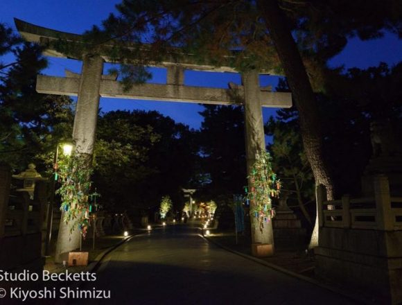 Torii gate #京の七夕 #北野天満宮 #kyoto #kitanotenmangu #lighting #floodlight